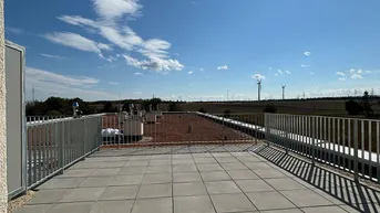 Expose ZU VERMIETEN! bezugsfertige 3-Zimmer-Terrassenwohnung _Top 24_Wohnen im Kleegarten 