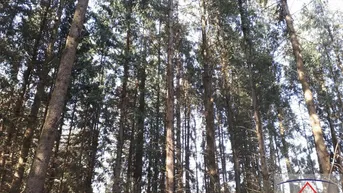 Expose Wald bei Schönberg am Kamp ca. 5.4 ha!