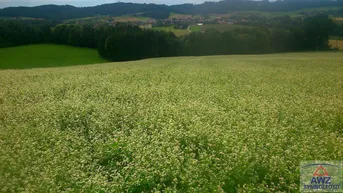 Expose ALLEINLAGE - Bauernsacherl mit ca. 7.8 ha in Regau / Rutzenmoos!