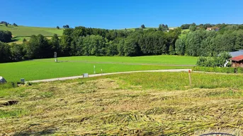 Expose Baugrund in ländlicher Lage zum Schnäppchenpreis!