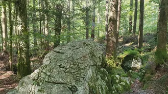 Expose Realisieren Sie Ihren Traum eines Grundstück mit Waldblick!