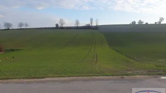 Expose Wunderschöner Acker am Linzer Stadtrand 