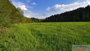 Expose Sehr ruhig gelegene Landwirtschaft mit über 15 ha Scheibengrund!