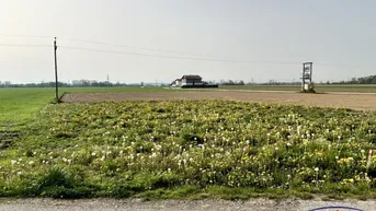 Expose !! WIEDER VERFÜGBAR !! Ruhiger Baugrund in der Natur! 