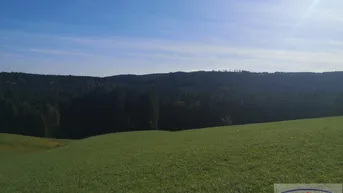 Expose Verkaufe landwirtschaftliches Grundstück und Baugrund im Raum Mondsee!