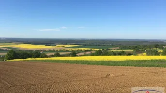 Expose Traumgrundstück in Alleinlage!