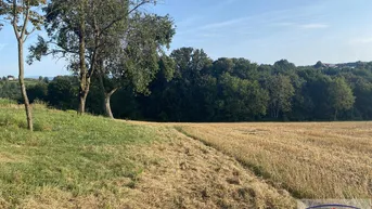 Expose TRAUMGRUNDSTÜCK am Sonntagsberg!