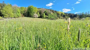 Expose Idyllisches Grundstück mit Wald und Wiese!