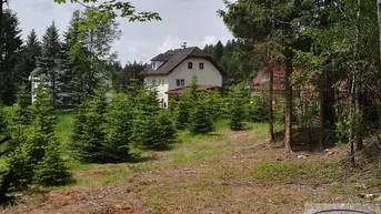 Expose Großes Anwesen mit viel Wald in traumhafter Lage!