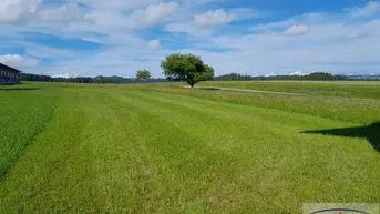 Expose Schöne LANDWIRTSCHAFT mit extra BAUGRUND!