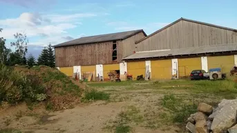 Expose Großes Haus mit landwirtschaftlichem Wirtschaftsgebäude!