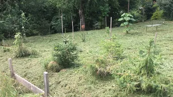 Expose Leben im Grünen am ruhigen Waldrand!