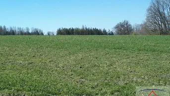 Expose Für Landwirte - Schöner, optimaler Acker mit ca. 3.5 ha zu verkaufen