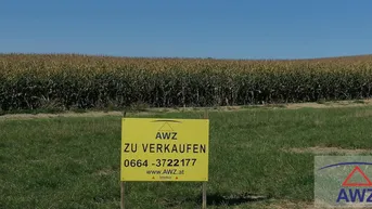 Expose Wunderschöne Lage - Ländliches Grundstück im Naturpark SCHARTEN