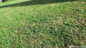 Expose ACHTUNG - NEUES ANGEBOT: Verkaufe schönen ca. 764 m² großen Baugrund in Sankt Johann am Wimberg!