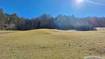 Expose Einzigartiges Grundstück am Waldrand: Naturparadies mit Baugrund!
