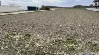 Expose 2 Baugründe in bester Lage!