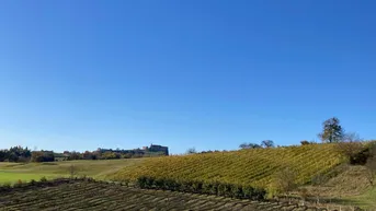 Expose Landwirtschaftliche Fläche: Obstplantagen - Weingartenkultur!