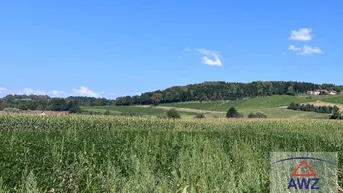 Expose Ihr neuer Wohntraum in Bad Waltersdorf!