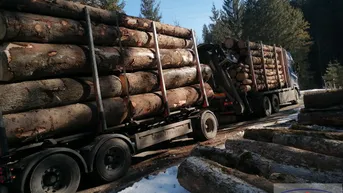 Expose Wirtschaftswald