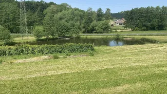 Expose Ein Paradies im Südburgenland!