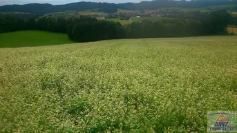 Expose Grünland und Baugrund in Pressbaum zu verkaufen!
