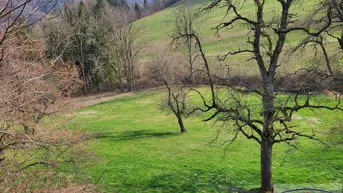 Expose Bauernhof mit arrondiertem Grund in Alleinlage im Voralpengebiet!