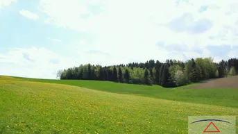 Expose Schöner leistbarer Baugrund mit Grünland!