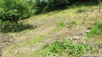 Expose Schöner Baugrund mit ca. 594 m² zu verkaufen!