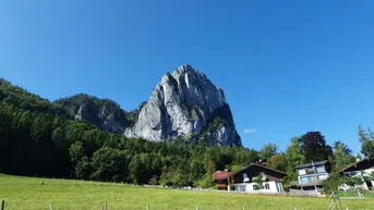 Expose Wiesen mit angrenzender Waldfläche! 