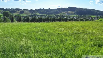 Expose Flacher und rechteckiger Baugrund bei St. Ruprecht an der Raab!