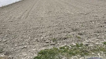 Expose PREISGESENKT: NEUER PREIS! Baugründe in bester Lage!