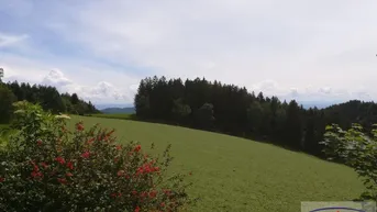 Expose Großes Anwesen mit viel Wald in traumhafter Lage!