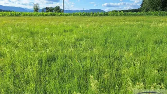 Expose Sonniger Baugrund bei St. Ruprecht an der Raab -- zwischen Weiz &amp; Gleisdorf