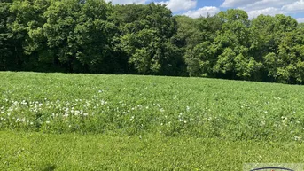 Expose WUNDERSCHÖNE Aussicht, sehr RUHIGE Lage!