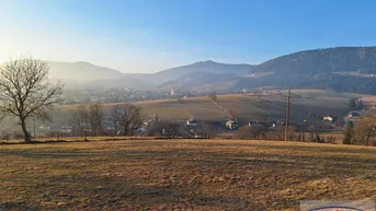 Expose Naturpark Almenland - Ca. 20.000 m² Grünland (+ angrenzender Baugrund optional möglich)