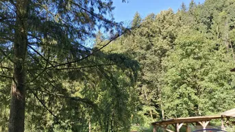 Expose Idyllisches Traumhaus in ruhiger Waldlage mit Bach und romantischem Flair
