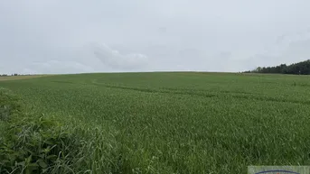 Expose Acker mit guter Bonität! 