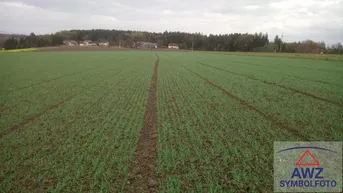 Expose Acker in Krummnussbaum ca. 3.8 ha
