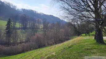 Expose Bauernhof mit arrondiertem Grund in Alleinlage im Voralpengebiet!