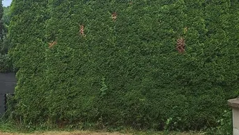 Expose Rares Gartengrundstück in Graz-Liebenau: Idyllischer Rückzugsort mit Seltenheitswert!