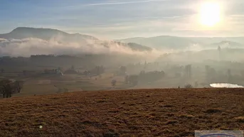 Expose Wiesengrund: Möglichkeit für landwirtschaftlich nötige Gebäude (+ angrenzender Baugrund optional)!