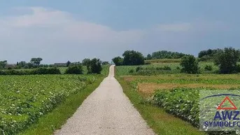 Expose Ackerland im nördlichen Tullnerfeld!