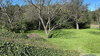 Expose Tolles Grundstück mit kleinem Haus!