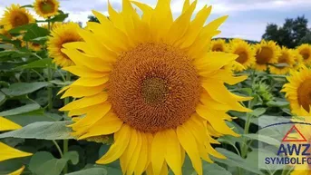 Expose Bauernhof in Toplage!