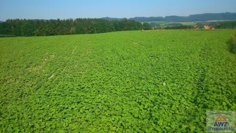 Expose Ackerfläche in Ritzing zu verkaufen