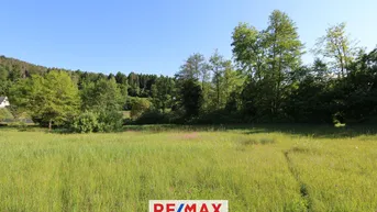 Expose Baugrundstück mit See-Nähe und vielseitigen Nutzungsmöglichkeiten