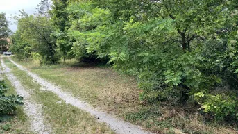 Expose Winzerhaus mit zwei Einfahrten und großem Garten - Gumpoldskirchen