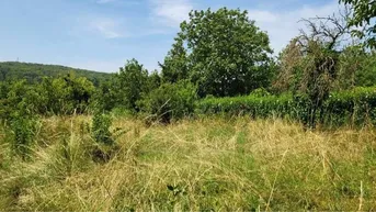 Expose SCHNÄPPCHENPREIS! NUR 2 WOCHEN GÜLTIG! Baugrundstück in Edelstal mit 814 m² 
