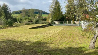 Expose Sonniges Baugrundstück mit 1003 m2 in Alland